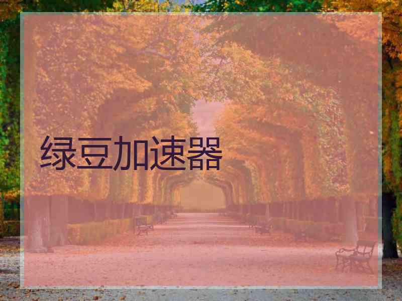 绿豆加速器 绿豆加速器